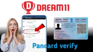 dream 11 pancard verify